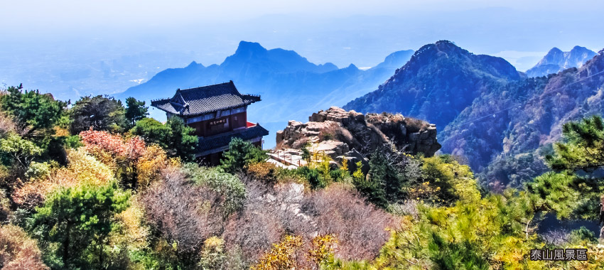 泰山